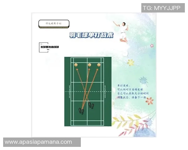 武汉羽毛球队选拔赛战术分析与表现评估探讨