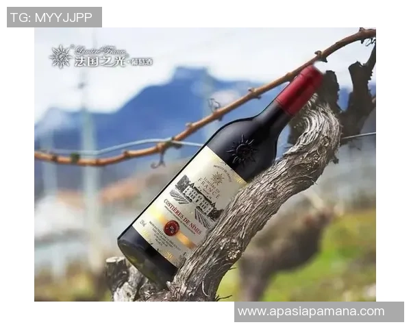 张裕足球红酒携手激情赛事共谱美酒与足球的完美交融之旅