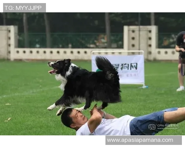 武汉飞盘队在极限运动世界杯中的灵活性表现与战术分析